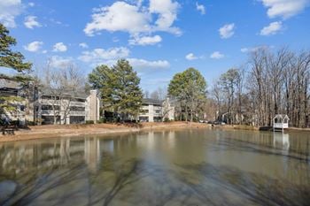 Pond
